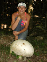 200207060147 Puffball Mushroom - Manitoulin.jpg