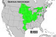 200602 Bur Oak (Quercus macrocarpa) - USGS Forest Service Native Range Map.jpg